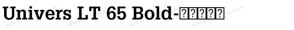 Univers LT 65 Bold字体转换